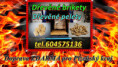 /album/foto/brikety-pelety-doprava-zdarma-jpg/